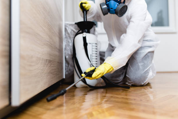 Best Ant Control Services  in Jay, OK