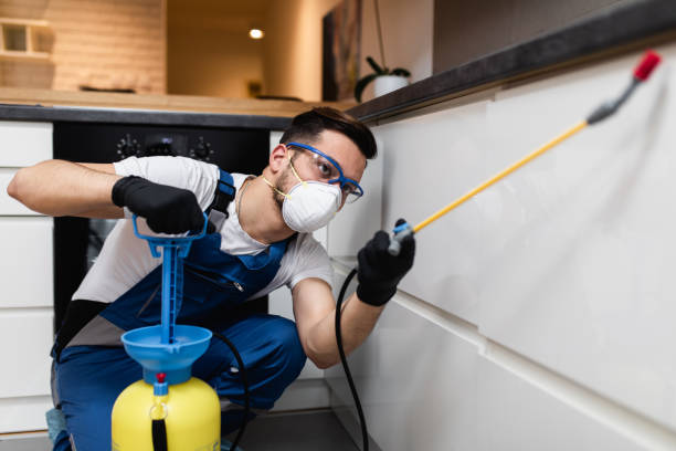 Best Flea Control Services  in Jay, OK