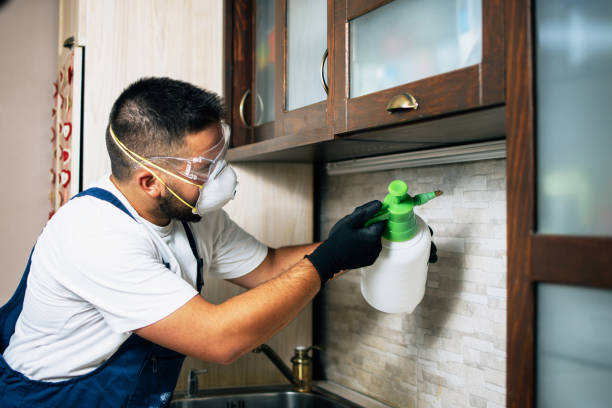 Best Pest Removal Services  in Jay, OK
