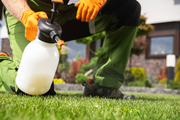 Best Pest Inspection Near Me  in Jay, OK