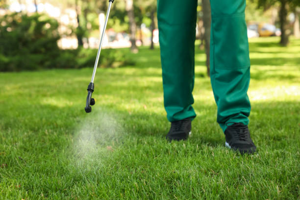 Pest Control for Restaurants in Jay, OK