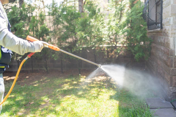 Reliable Jay, OK Pest Control Solutions