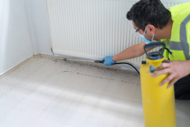 Best Pest Prevention Services  in Jay, OK